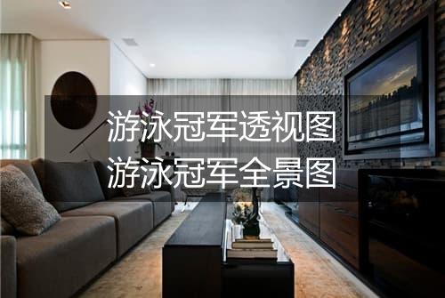 游泳冠军透视图　游泳冠军全景图